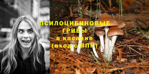 метамфетамин Майский