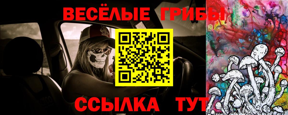 Псилоцибиновые грибы ЛСД  Вход с VPN  Псилоцибиновые грибы Magic Shrooms  Маркс 