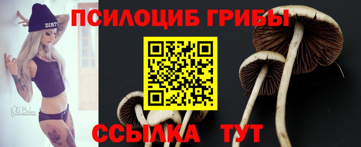 Галлюциногенные грибы Psilocybine cubensis Маркс