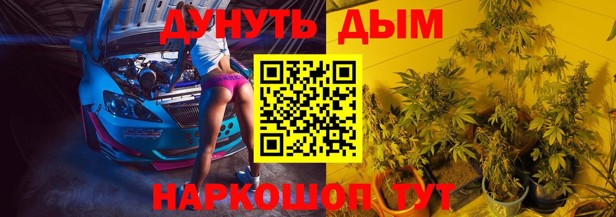 Марихуана сатива  Каннабис AK-47  Маркс  Канабис сатива  Вход с VPN  Бошки марихуана MAZAR 