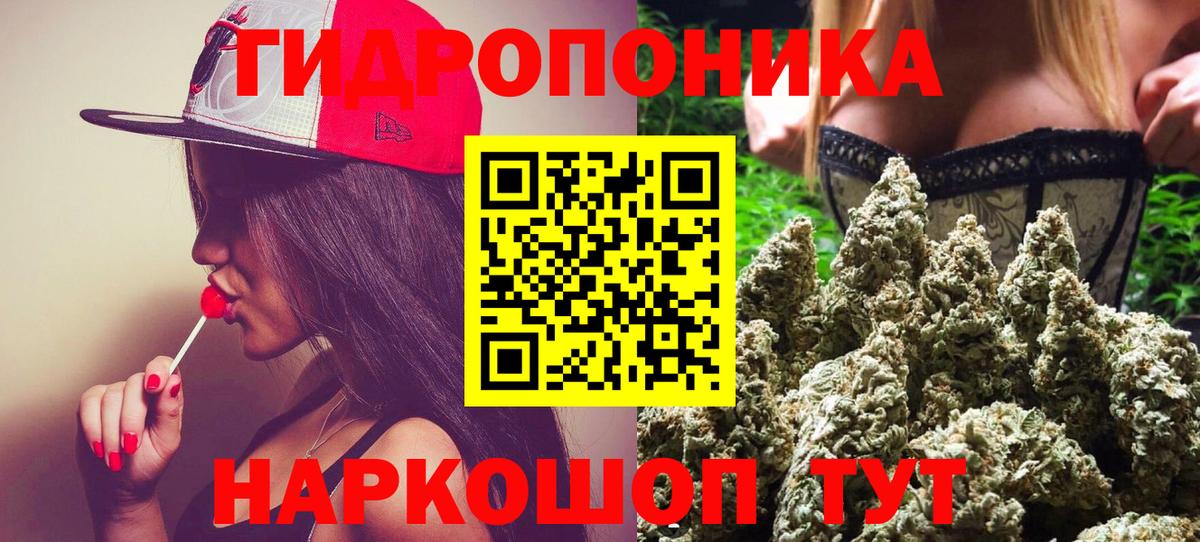 Бошки марихуана сатива Маркс